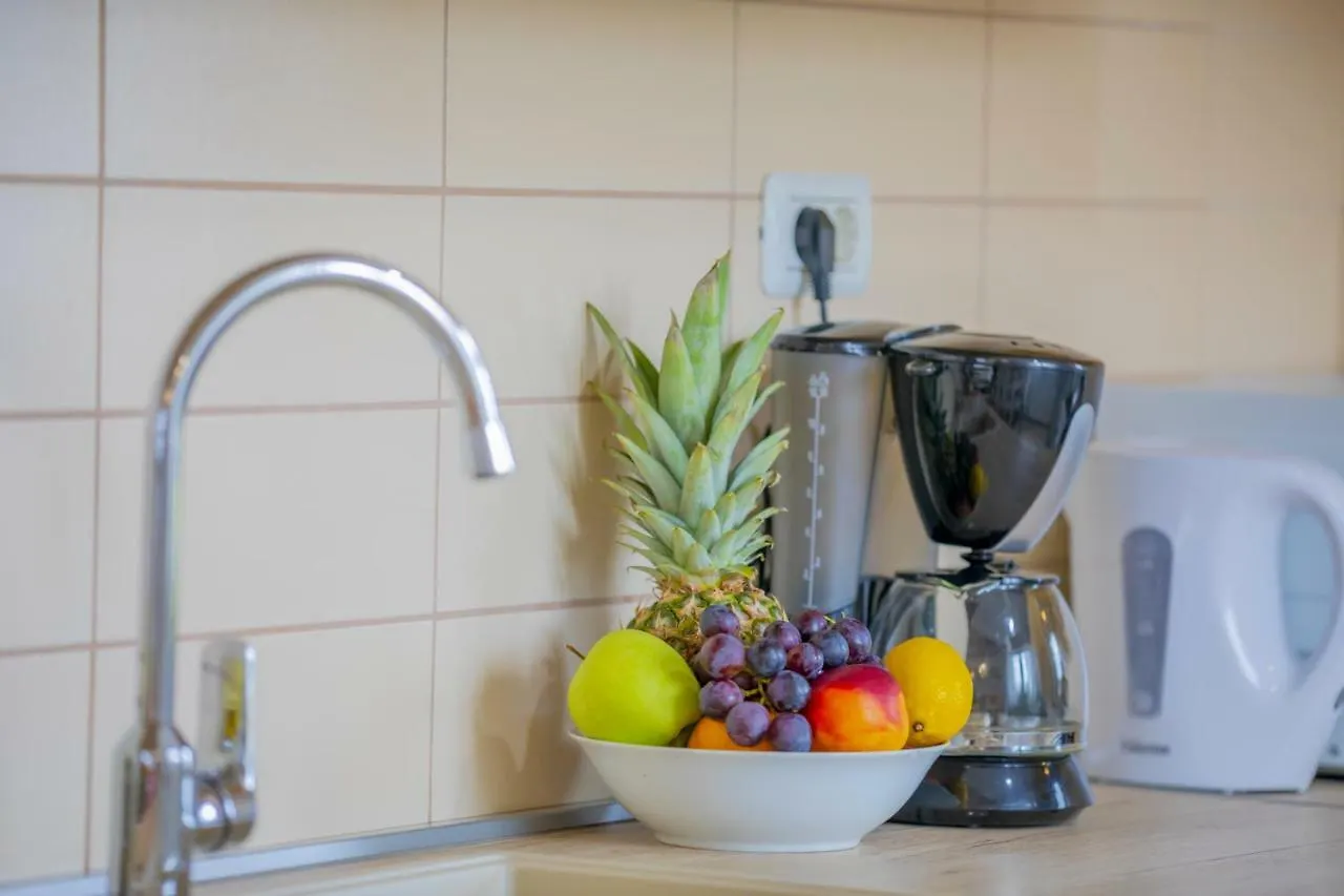 Center Penthouse Apartment Pula Croatia